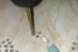 Triangular drilling video